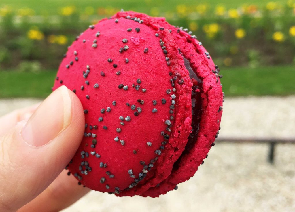 best food in paris raspberry poppyseed french macaron the food quest